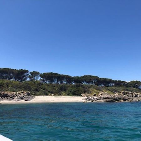 Apartmán Appart. / Clim / Piscine / Mer A 300M Linguizzetta Exteriér fotografie