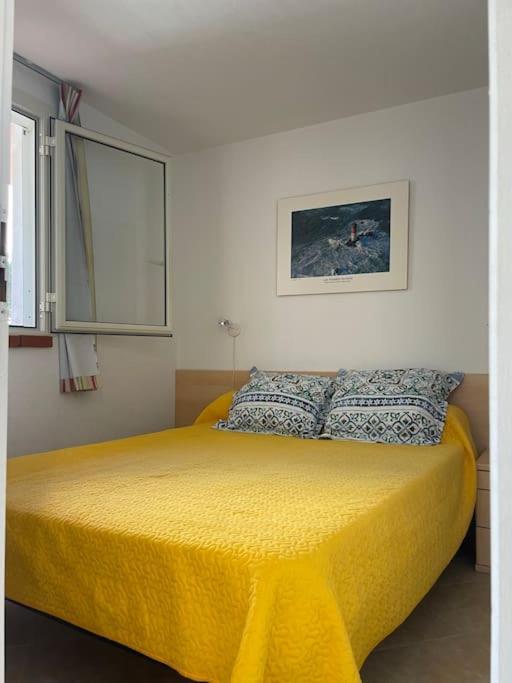 Apartmán Appart. / Clim / Piscine / Mer A 300M Linguizzetta Exteriér fotografie