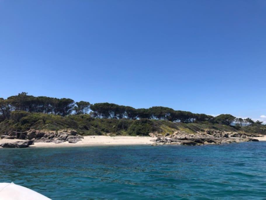 Apartmán Appart. / Clim / Piscine / Mer A 300M Linguizzetta Exteriér fotografie